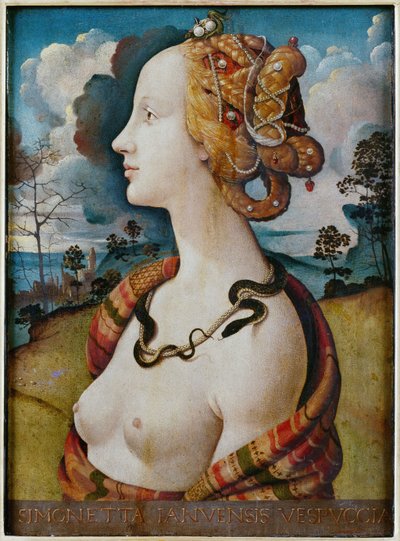 Portrait of a Woman Known as Simonetta Vespucci by Piero di Cosimo